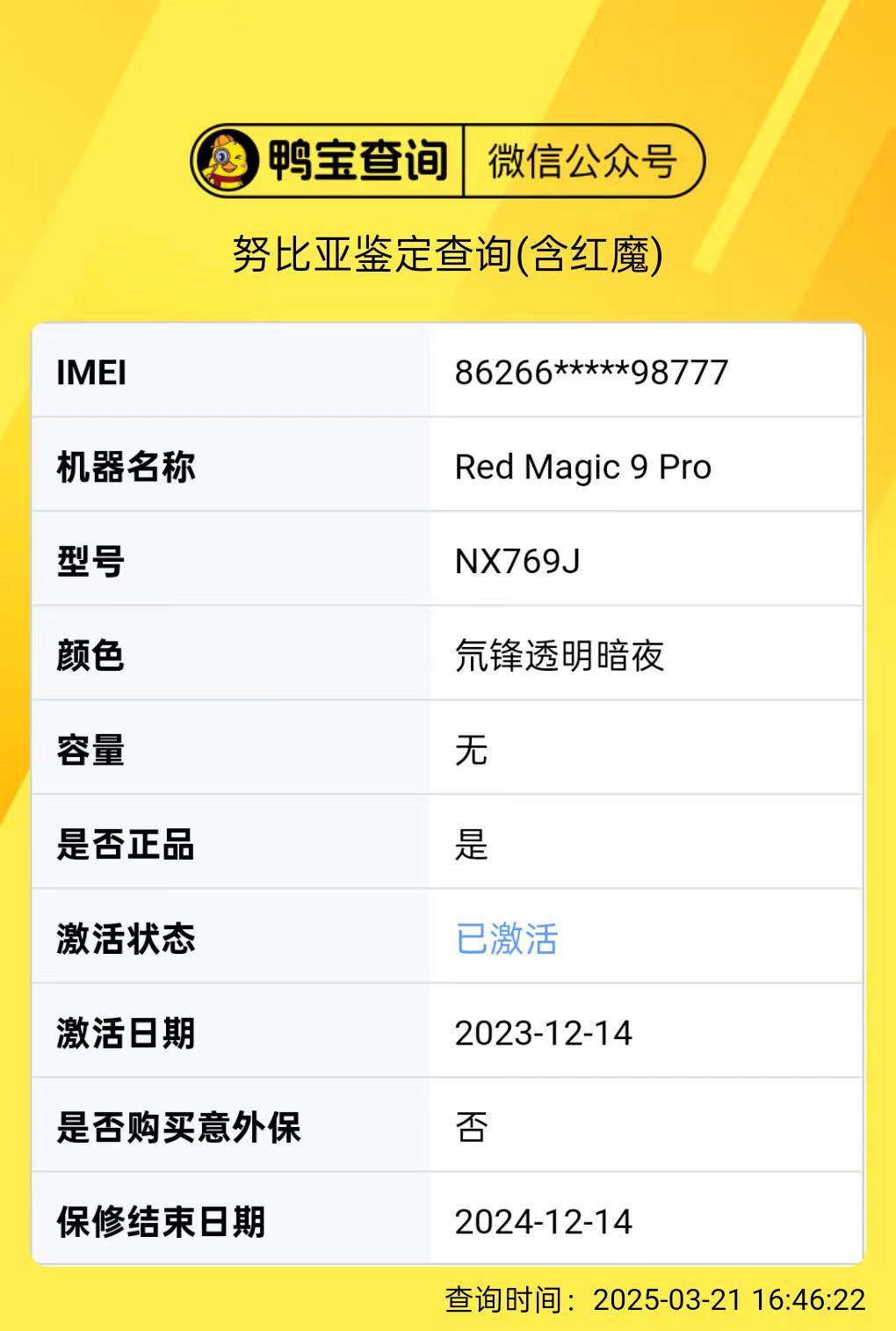 努比亚.jpg